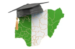 project nigerian-graduates